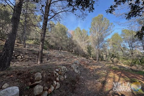 Helårsgrund i Jalon, Alicante, Jalon - € 210.000 | Ref: P-601 - foto 2